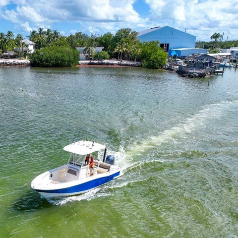 A small boat with a canopy cruising on a river near a marina and green trees.