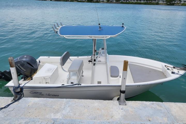 Small motorboat docked at pier on calm blue water with background of shoreline houses.